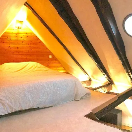 Attic Duplex In The Heart Of Apartment Strasbourg