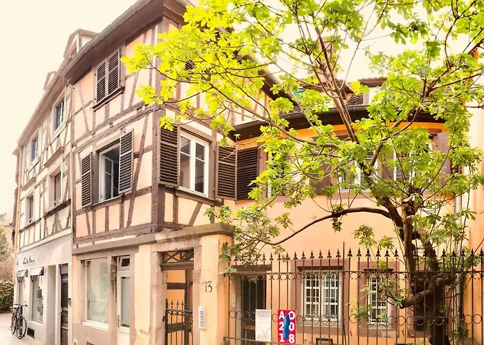Attic Duplex In The Heart Of Strasbourg
