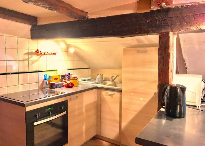 Appartement Attic Duplex In The Heart Of Strasbourg